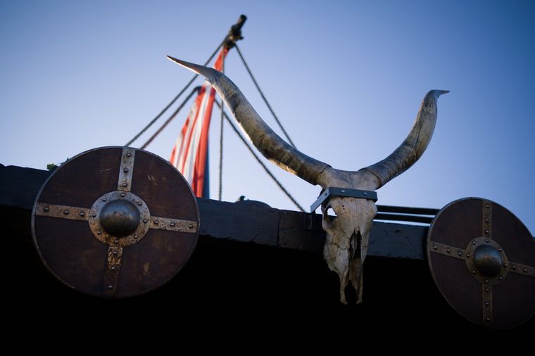 Das Dach eines Stands auf dem Mittelaltermarkt, zwischen 2 Wikinger-Schilden ist ein Schädel aufgehängt, auf dem der
Fokus liegt. Im Hintergrund ist das Segel eines Schiffes zu sehen, der Stand der Wikinger war wie ein Schiff 
aufgebaut